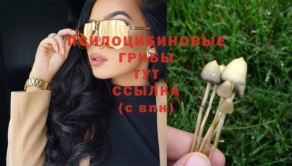 мдпв Беломорск